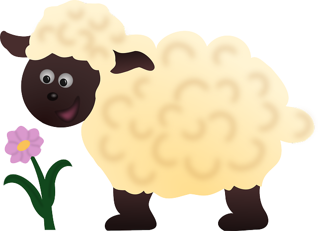 sheep